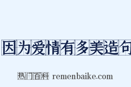 因为爱情有多美造句是什么意思的图片